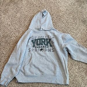 Jansport Gray Hoodie with Green Accents